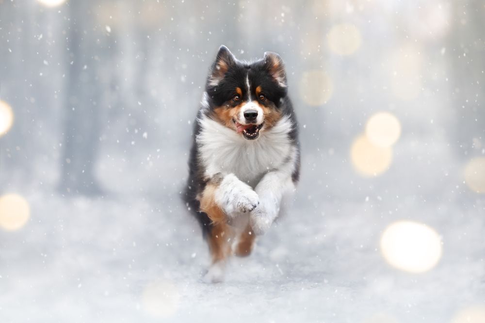 Photograph by Евгения Костусева