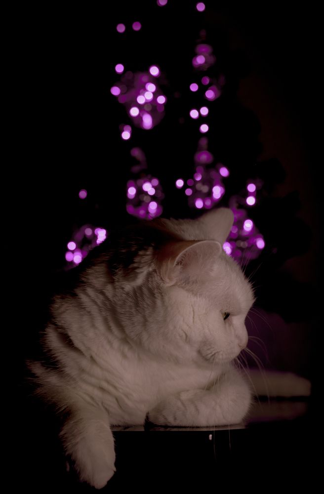 Photograph by Максим Жухлистов