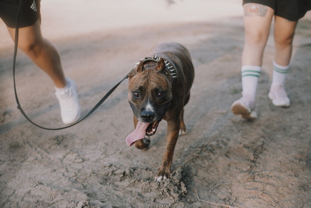 Photograph by Светлана Субботина