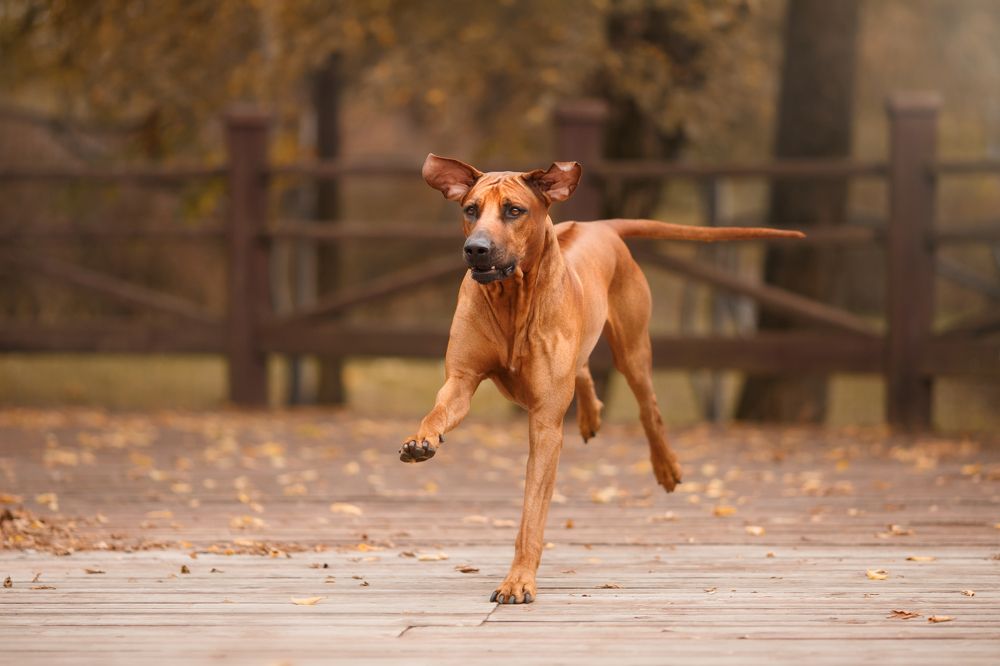 Photograph by Евгения Костусева