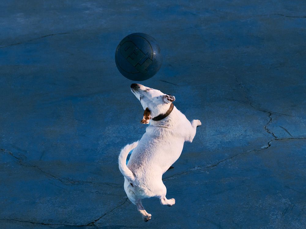 Photograph by Rudi Uran