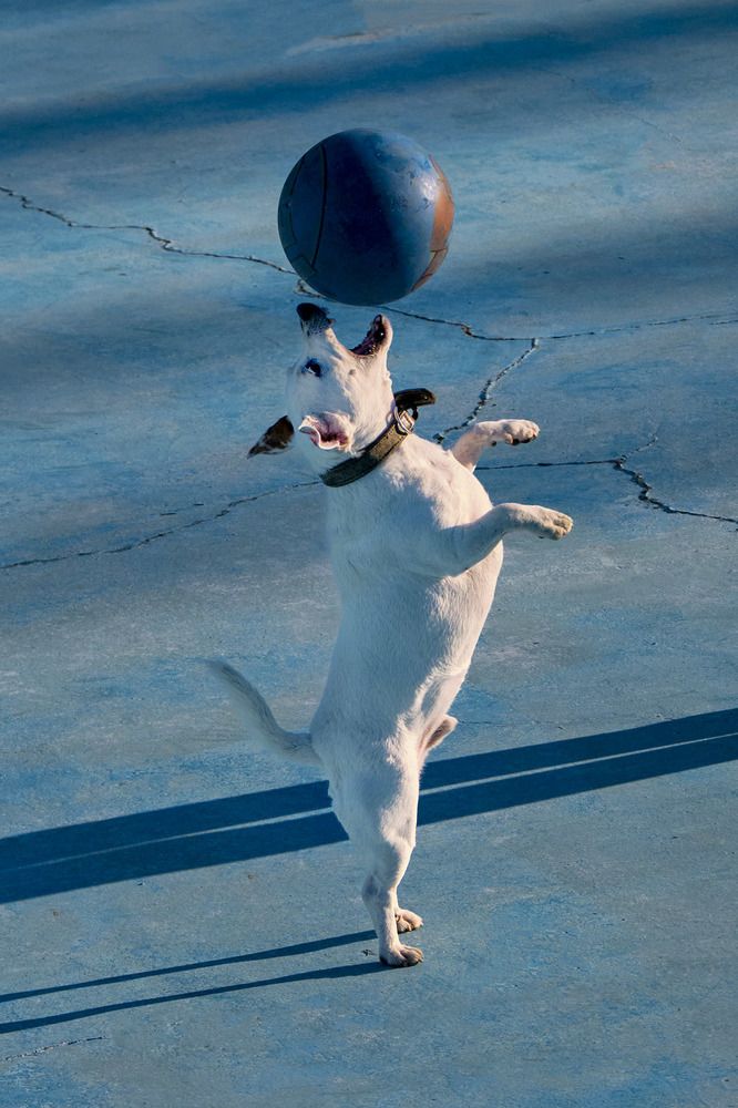 Photograph by Rudi Uran