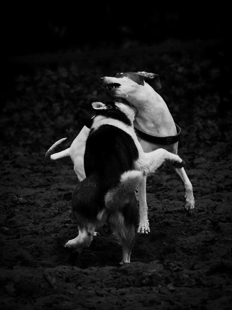 Photograph by Rudi Uran