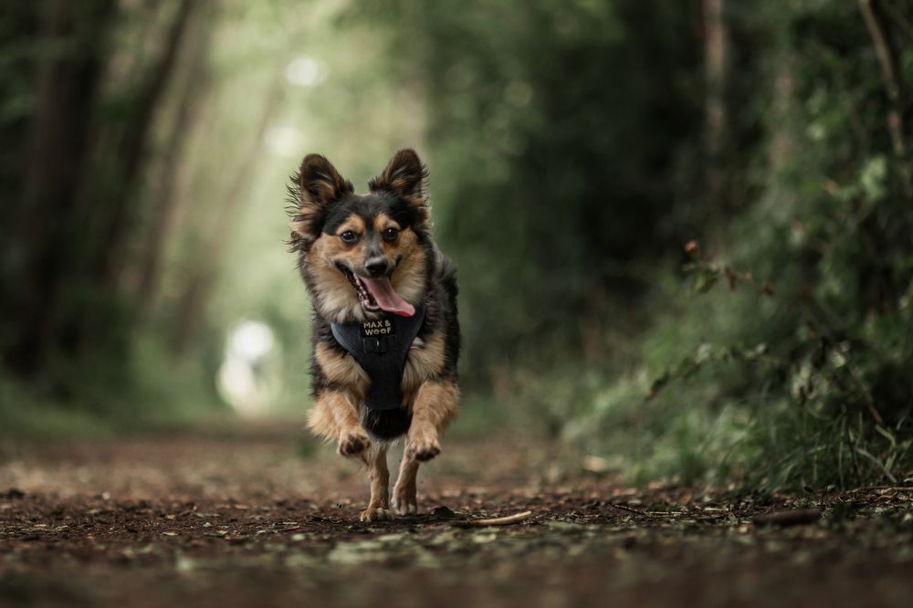 Photograph by Goené Gertrude