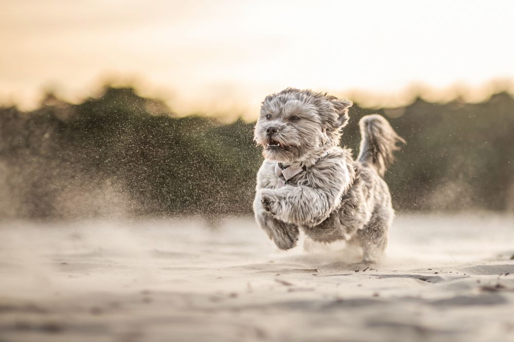 Photograph by Goené Gertrude