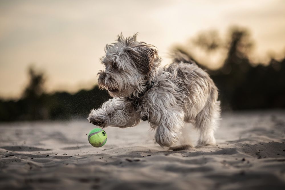 Photograph by Goené Gertrude