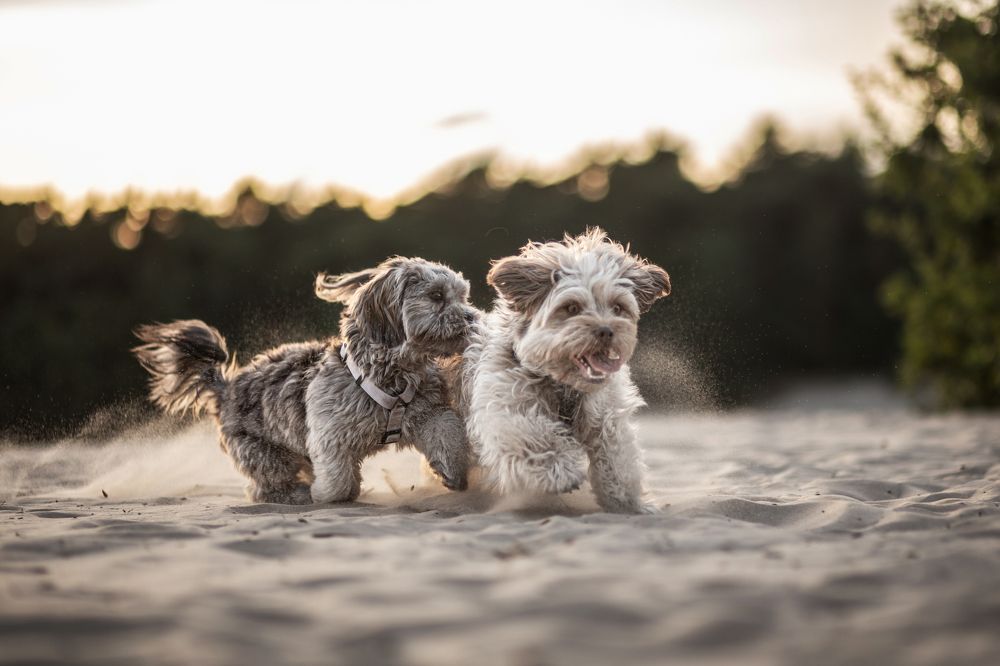 Photograph by Goené Gertrude