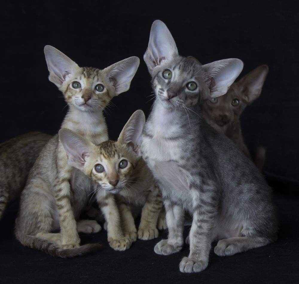 Photograph by Татьяна Феденкова