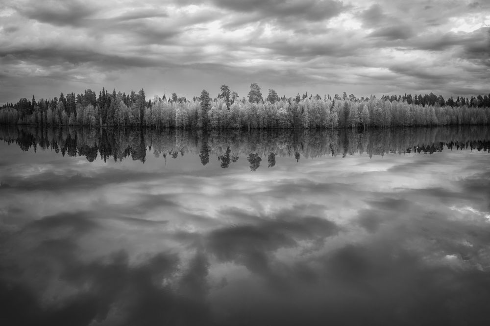 Фотография автора Анатолий Тумасьев