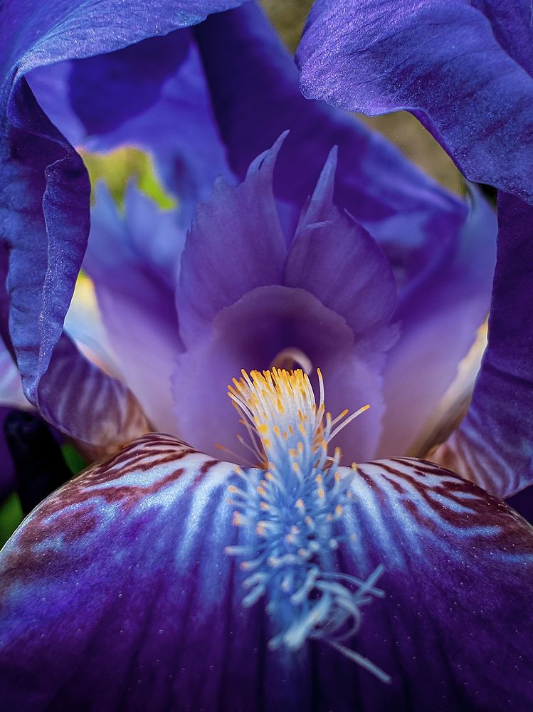 Photograph by Vinchenzo D5