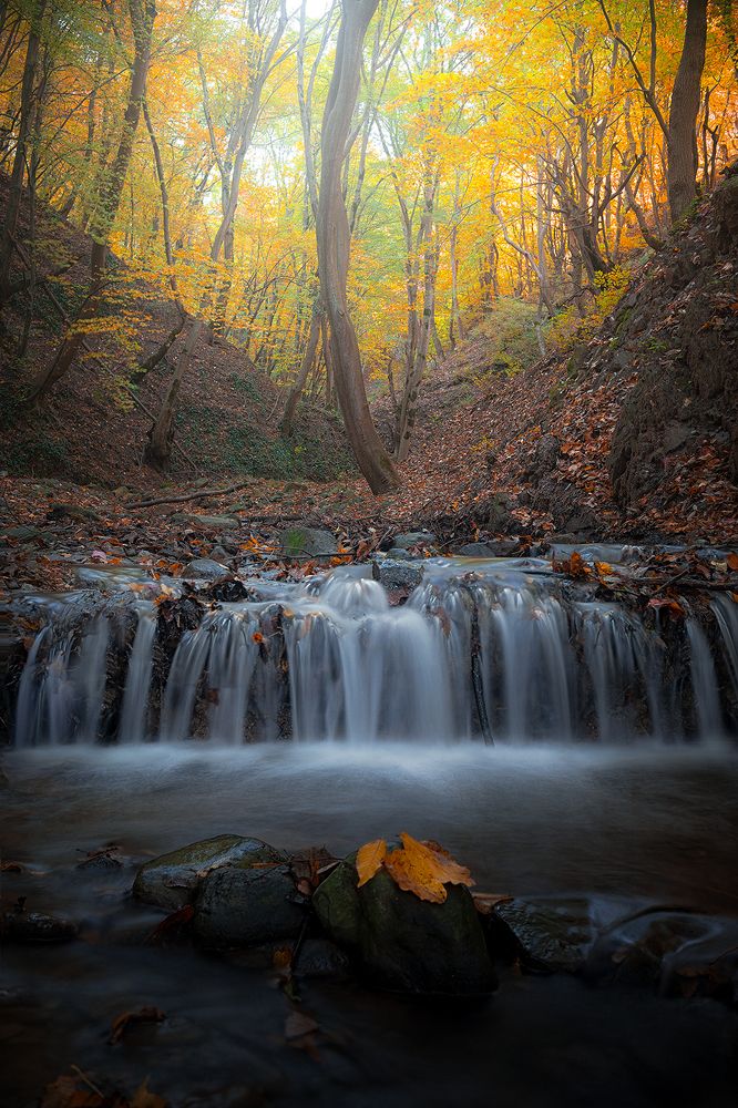 Фотография автора Ali Rouhi