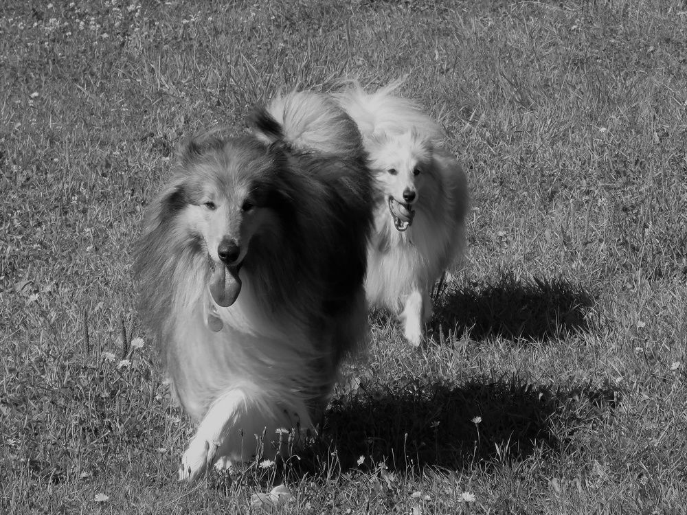 Photograph by Валерия Яскович