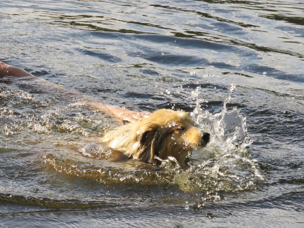 Photograph by Валерия Яскович