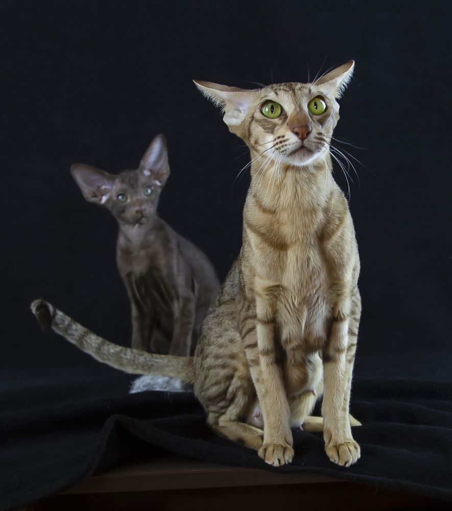 Photograph by Татьяна Феденкова