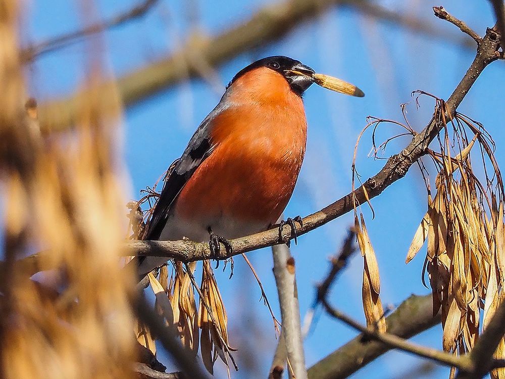 Photograph by Духанин Сергей