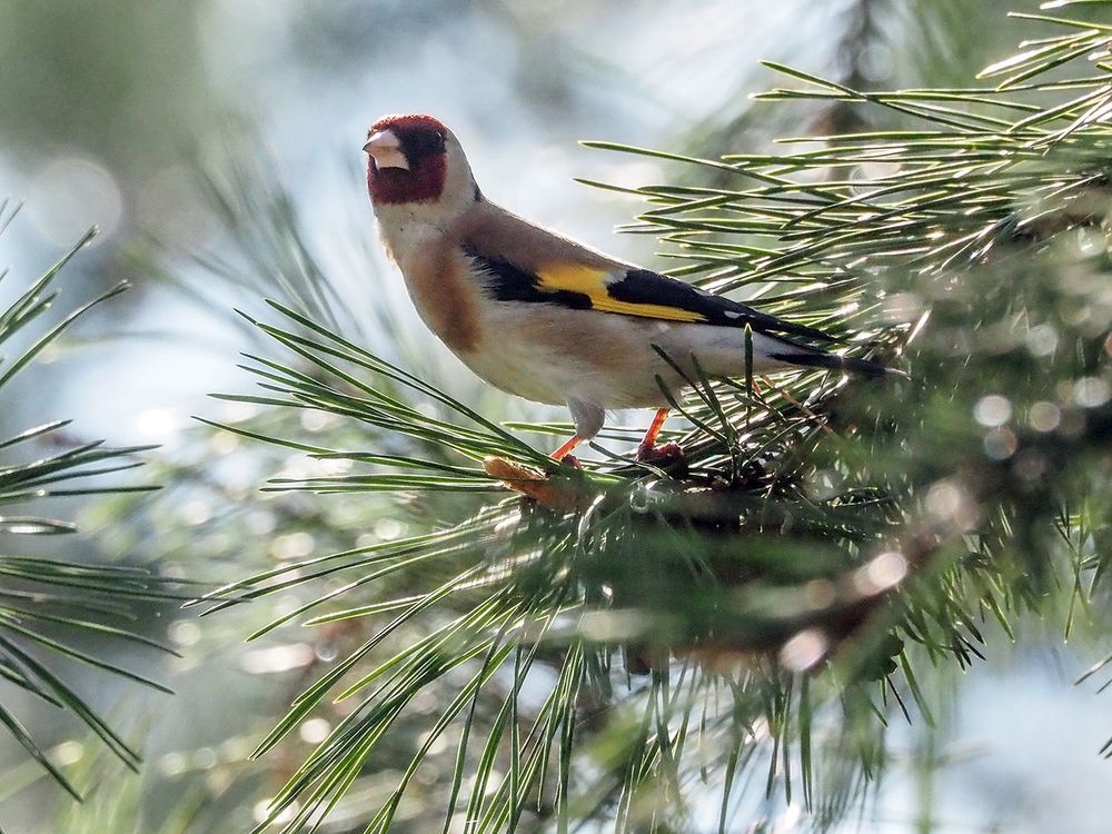 Photograph by Духанин Сергей