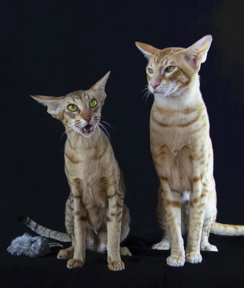 Photograph by Татьяна Феденкова