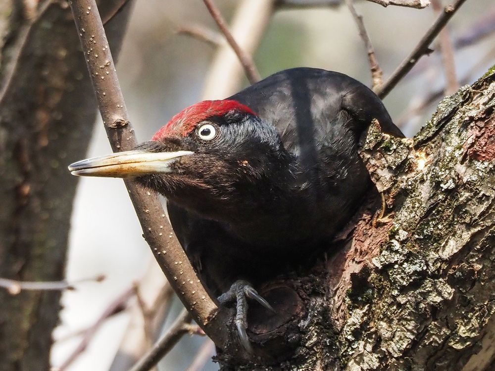 Photograph by Духанин Сергей