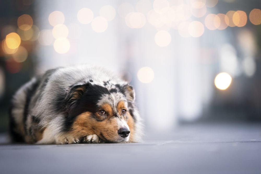 Photograph by Nikol Kopp