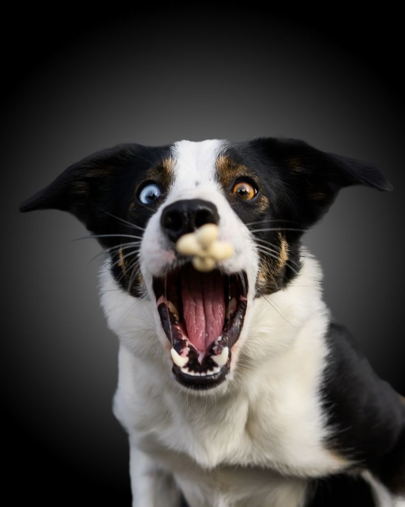 Photograph by Valérie Aubois