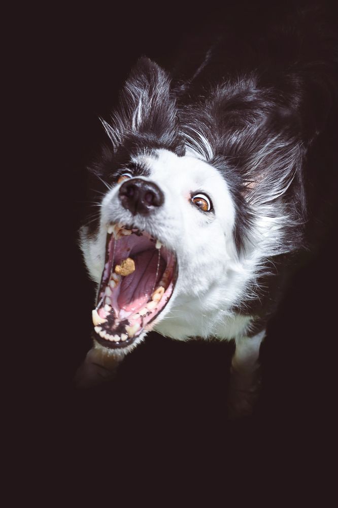 Photograph by Valérie Aubois