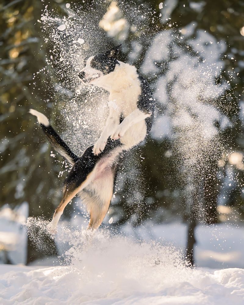 Photograph by Valérie Aubois