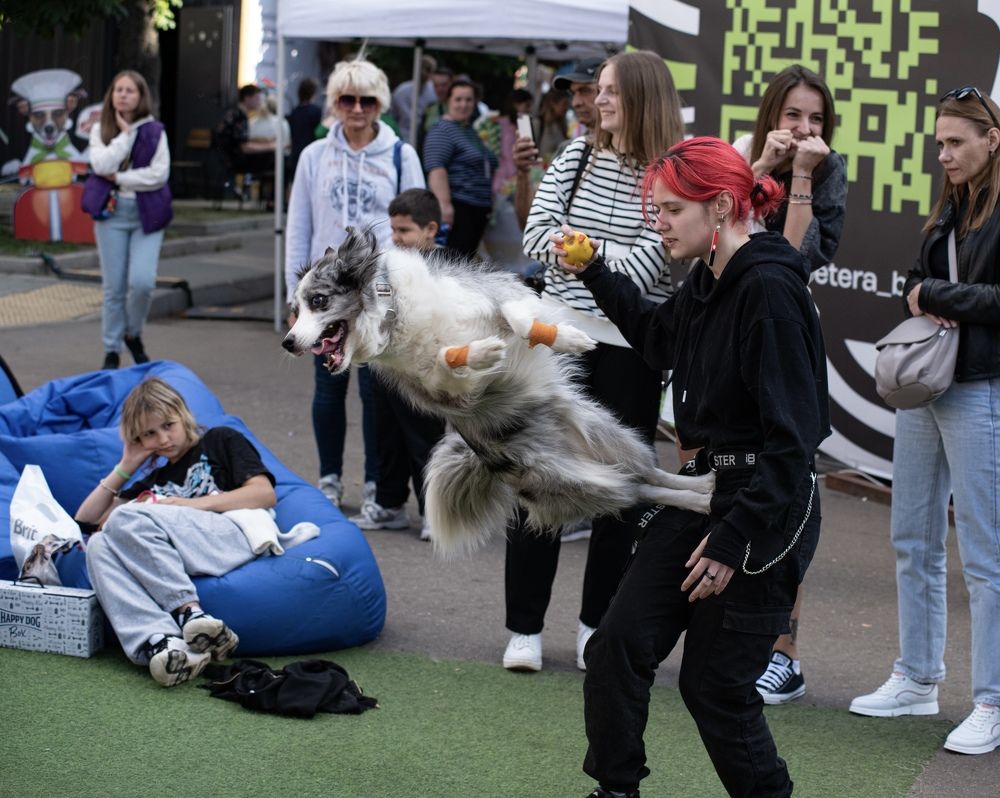 Фотография автора Aliaksandr Shautsou