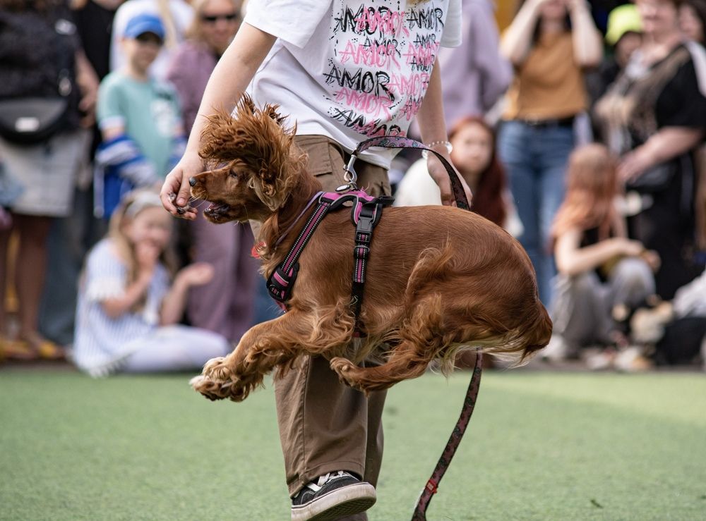 Фотография автора Aliaksandr Shautsou