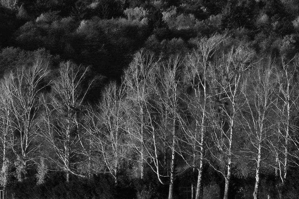 Photograph by Rudi Uran