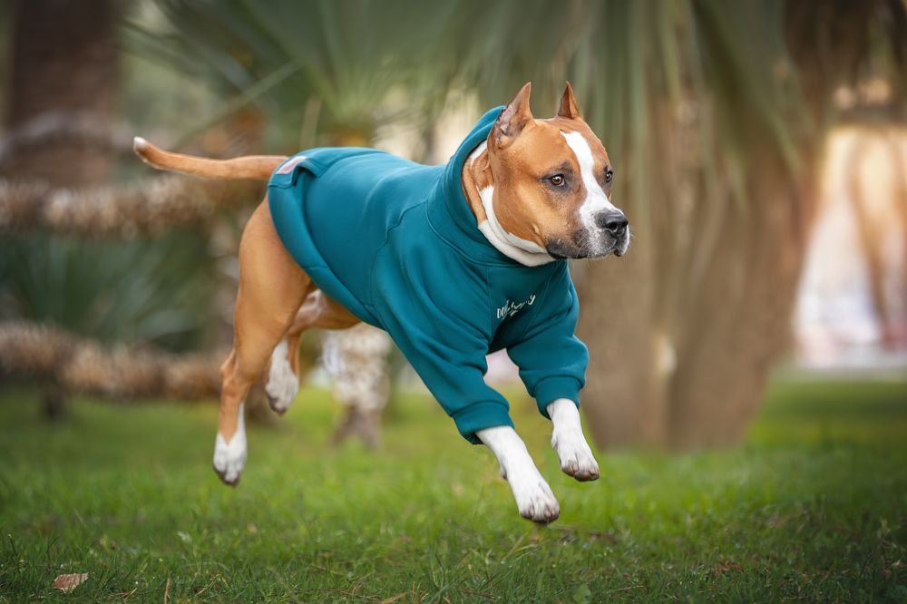 Фотография автора Ирина Голомб