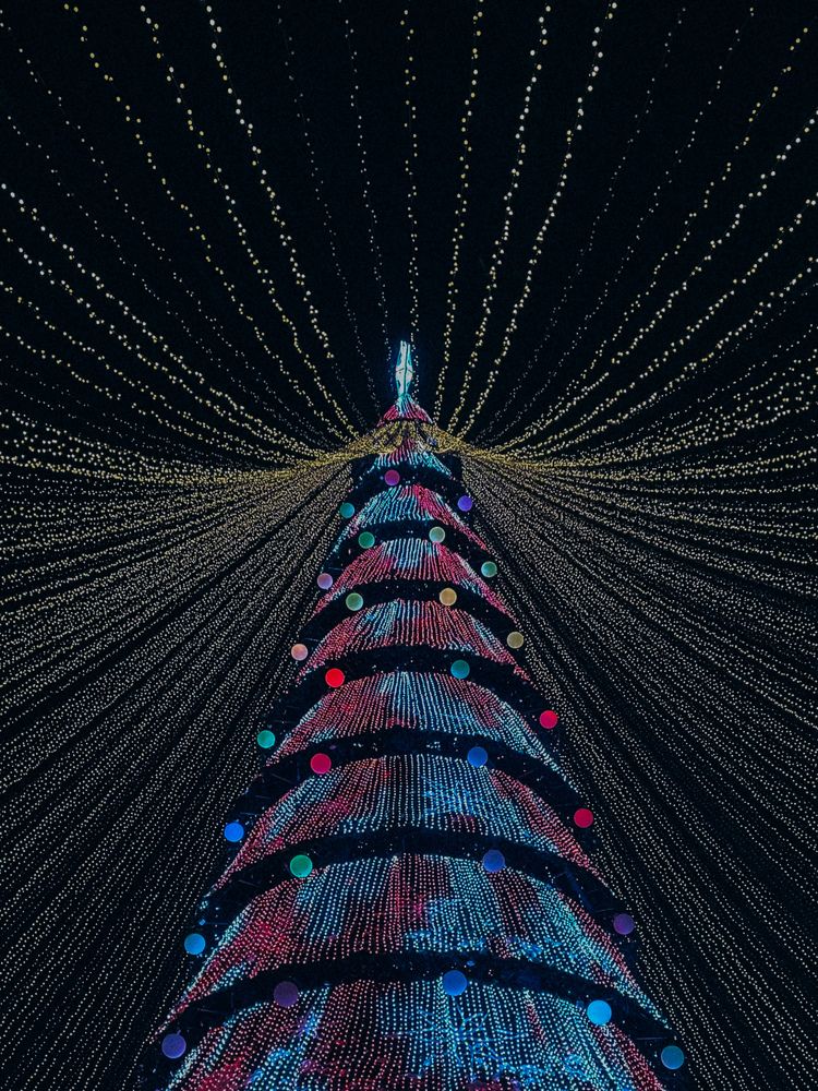 Photograph by Ляйсан Саляхиева