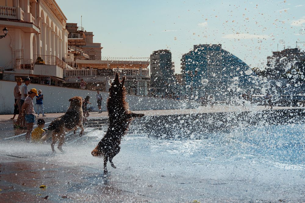 Укусить волну