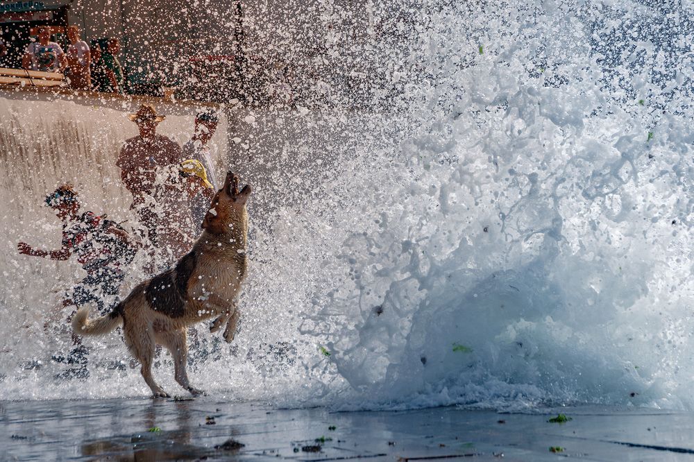 Играющая с морем