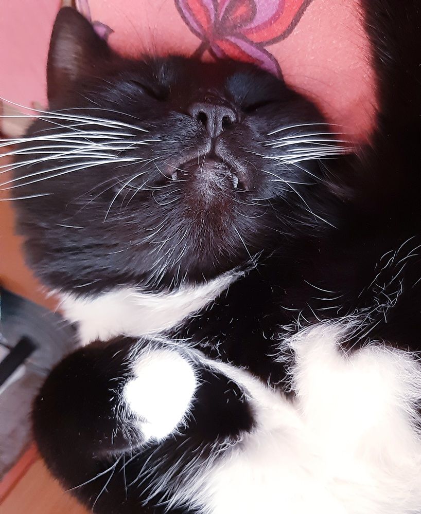 Фотография автора Maria V. Gorskaya