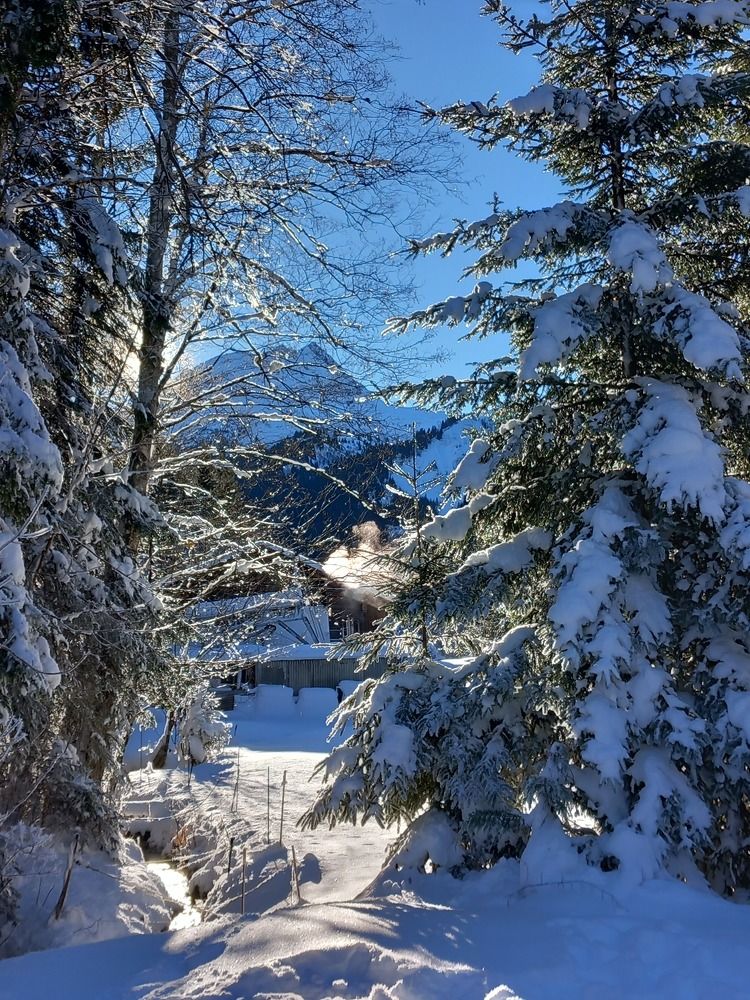 Фотография автора Елена Чернова