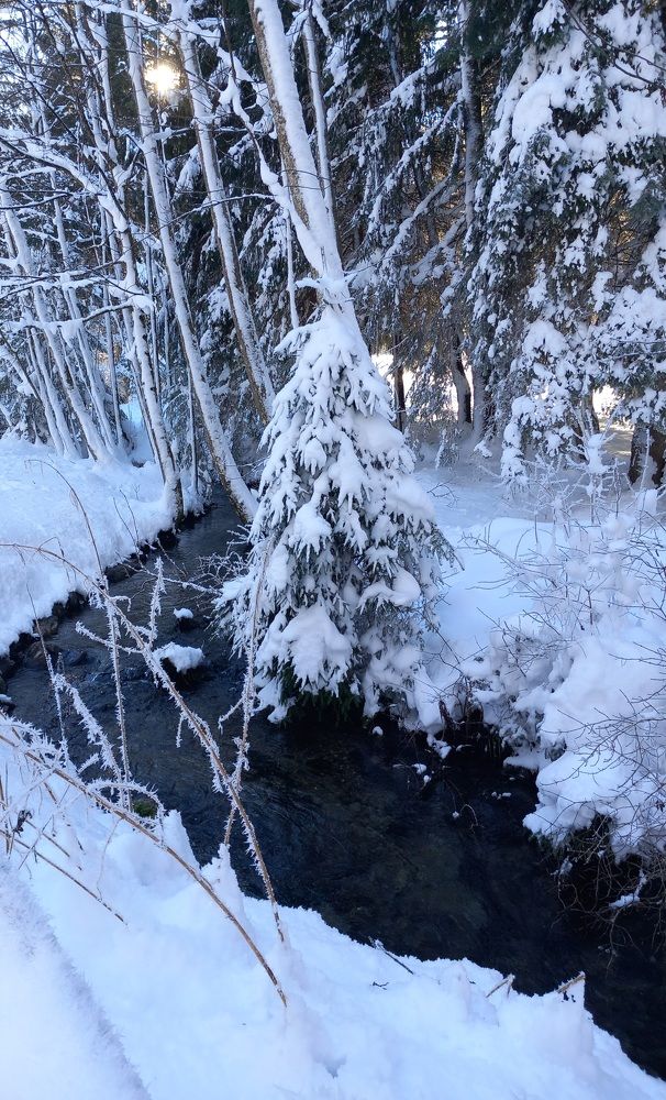 Фотография автора Елена Чернова