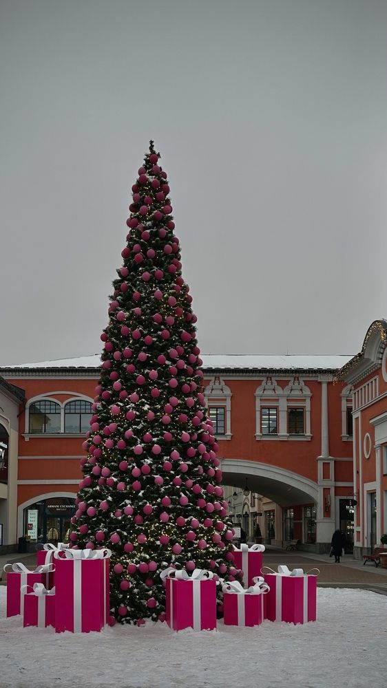 Фотография автора Юлия Косинова