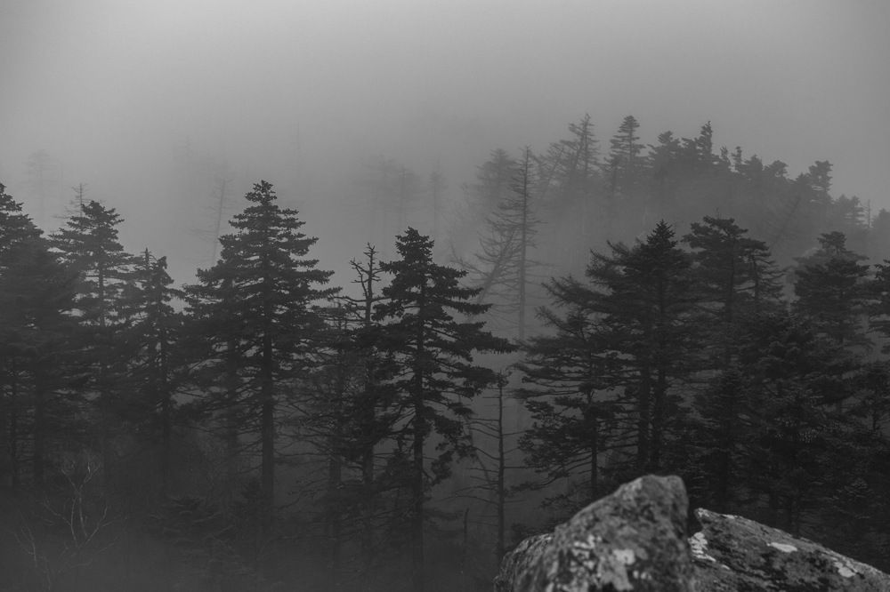 Photograph by Кузнецов Александр