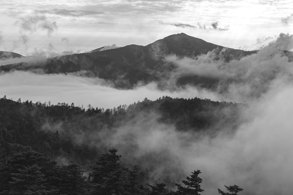 Photograph by Кузнецов Александр