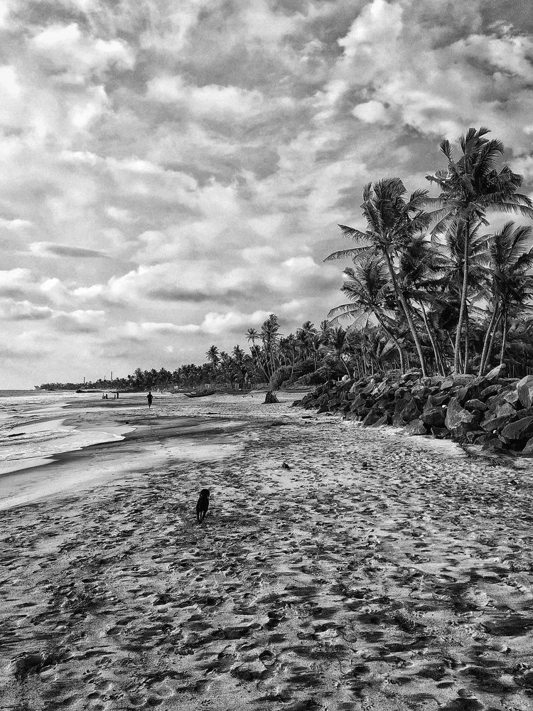 Фотография автора Julie Mishka