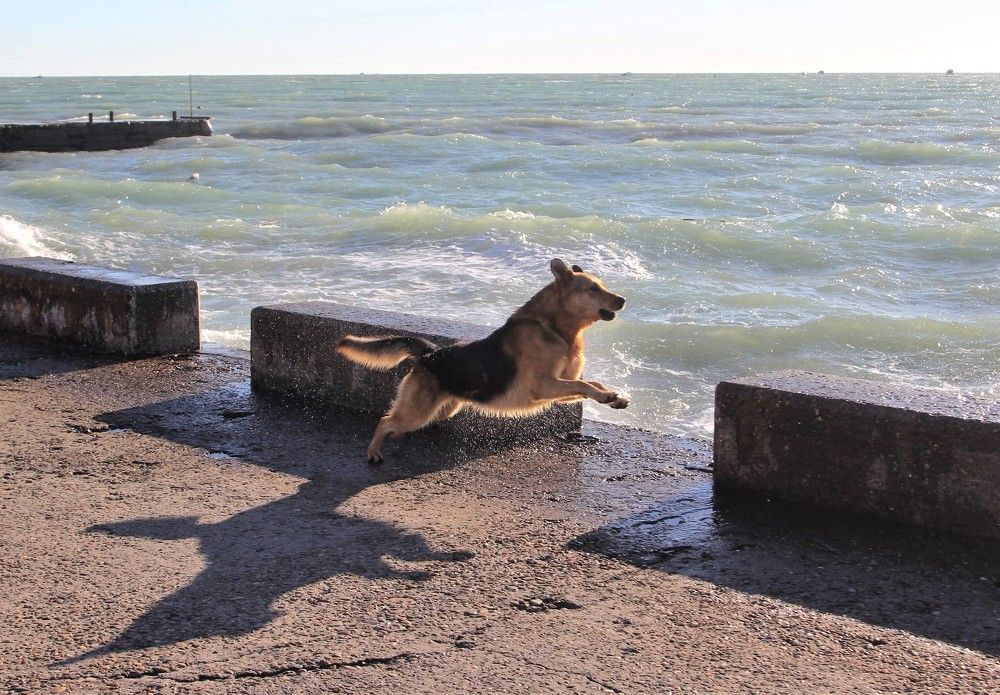 Морской променад