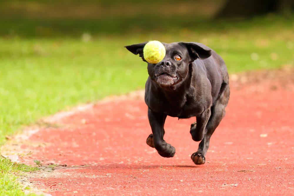 Photograph by Abhishek