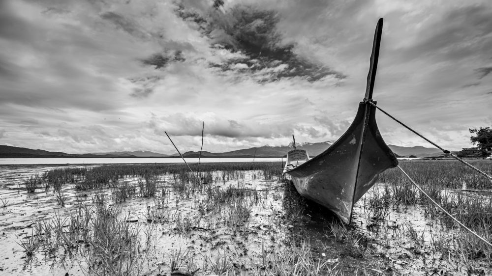 Фотография автора Maichel de Paula