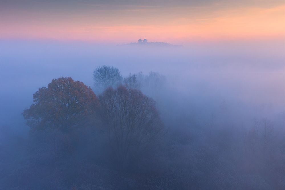 Misty morning