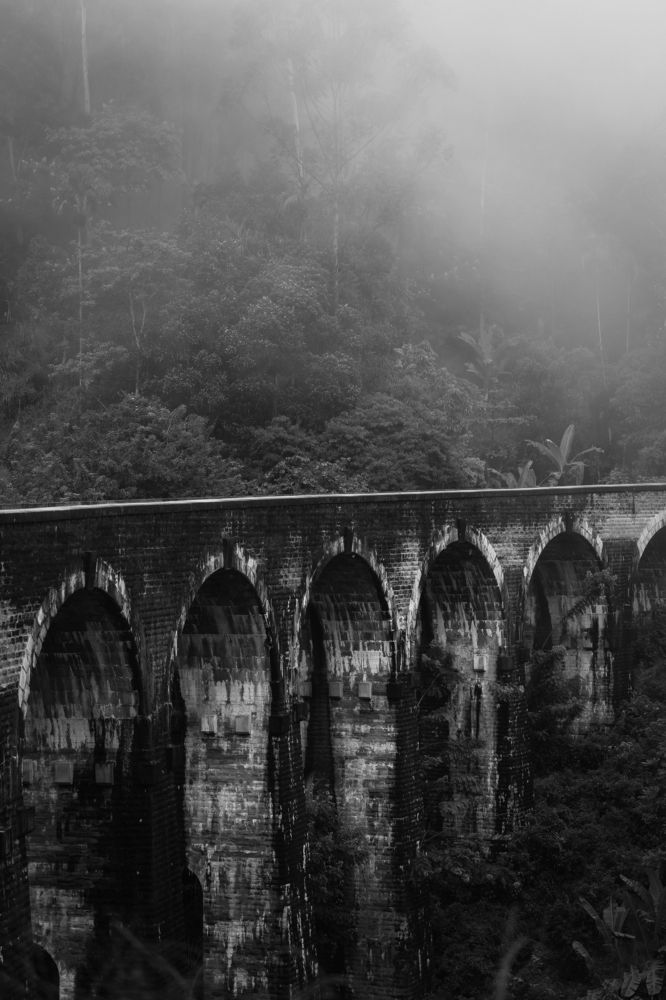 Photograph by Савва Тимофеев