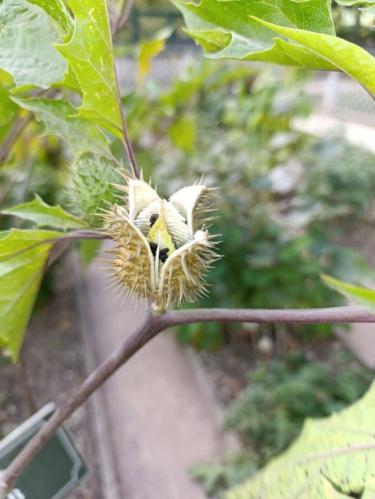 Фотография автора Андрей