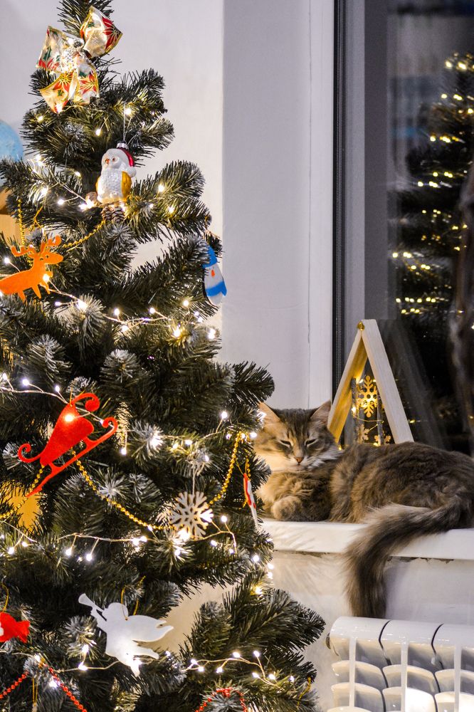 Photograph by Анастасия Гурова