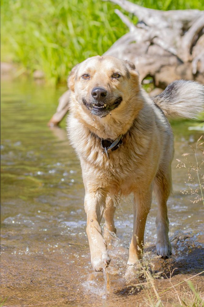 Photograph by Ivan Smorkalov