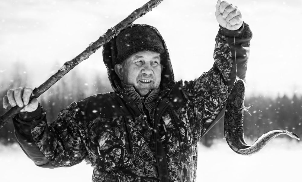 Photograph by Соколова Елена