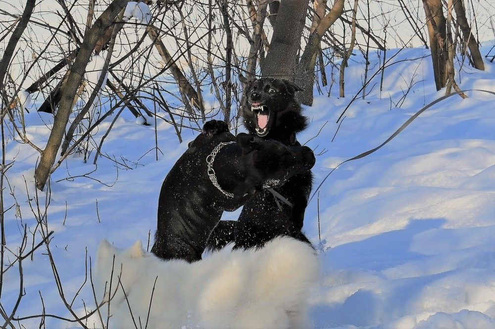 Фотография автора IRINA FILIPPOVA